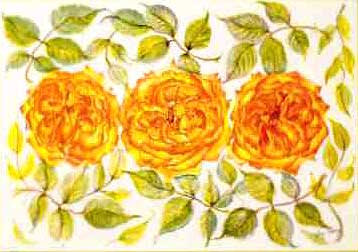 Rose Place Mat